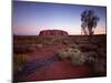 Ayers Rock, Uluru at Sunset-null-Mounted Photographic Print