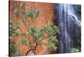 Ayers Rock Waterfall-Paul Souders-Stretched Canvas
