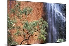 Ayers Rock Waterfall-Paul Souders-Mounted Photographic Print