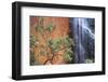 Ayers Rock Waterfall-Paul Souders-Framed Photographic Print