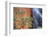 Ayers Rock Waterfall-Paul Souders-Framed Photographic Print