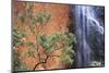 Ayers Rock Waterfall-Paul Souders-Mounted Photographic Print