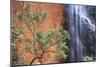 Ayers Rock Waterfall-Paul Souders-Mounted Photographic Print