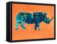 Framed Canvas