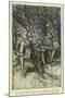 Ayli: Orlando,Rosalind-Arthur Rackham-Mounted Art Print