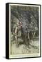 Ayli: Orlando,Rosalind-Arthur Rackham-Framed Stretched Canvas