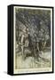 Ayli: Orlando,Rosalind-Arthur Rackham-Framed Stretched Canvas