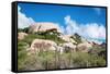 Ayo Rock Formation - Landmark on Aruba (Caribbean)-PlusONE-Framed Stretched Canvas