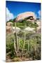 Ayo Rock Formation - Landmark on Aruba (Caribbean)-PlusONE-Mounted Photographic Print