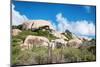 Ayo Rock Formation - Landmark on Aruba (Caribbean)-PlusONE-Mounted Photographic Print