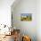 Ayrshire Cow Standing in Field of Sunflowers, Pecatonica, Illinois, USA-Lynn M^ Stone-Mounted Photographic Print displayed on a wall