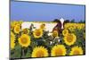 Ayrshire Cow Standing in Field of Sunflowers, Pecatonica, Illinois, USA-Lynn M^ Stone-Mounted Photographic Print