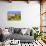 Ayrshire Cow Standing in Field of Sunflowers, Pecatonica, Illinois, USA-Lynn M^ Stone-Photographic Print displayed on a wall