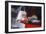 Ayrton Senna in His Mclaren-Honda, British Grand Prix, Silverstone, Northamptonshire, 1989-null-Framed Photographic Print