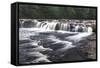 Aysgarth Falls, Yorkshire Dales, Yorkshire, England, United Kingdom, Europe-Markus Lange-Framed Stretched Canvas