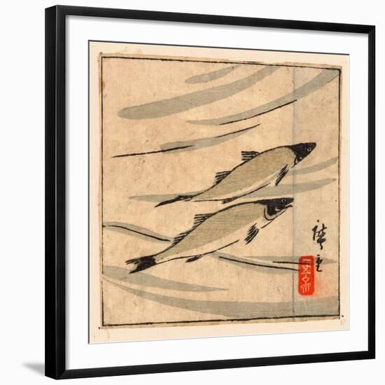 Ayu Zu, River Trout (Ayu). [Between 1868 and 1894], 1 Print : Woodcut, Color ; 9.6 X 10.8-Utagawa Hiroshige-Framed Giclee Print