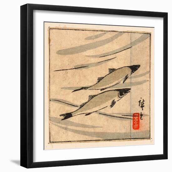Ayu Zu, River Trout (Ayu). [Between 1868 and 1894], 1 Print : Woodcut, Color ; 9.6 X 10.8-Utagawa Hiroshige-Framed Premium Giclee Print
