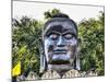 Ayutthaya, black Buddha in the Lotus petals at Wat Thammikarat-Terry Eggers-Mounted Photographic Print