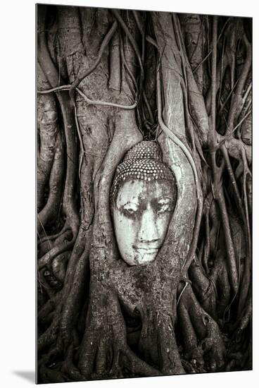 Ayutthaya, Thailand. Sandstone head of Buddha, at Wat Phra Mahathat, Ayutthaya Historical Park, nea-Miva Stock-Mounted Premium Photographic Print