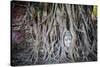 Ayutthaya, Thailand. Sandstone head of Buddha, at Wat Phra Mahathat, Ayutthaya Historical Park, nea-Miva Stock-Stretched Canvas