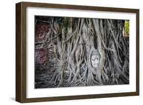 Ayutthaya, Thailand. Sandstone head of Buddha, at Wat Phra Mahathat, Ayutthaya Historical Park, nea-Miva Stock-Framed Photographic Print