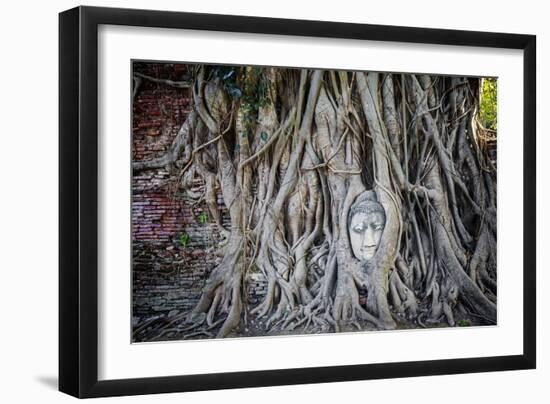 Ayutthaya, Thailand. Sandstone head of Buddha, at Wat Phra Mahathat, Ayutthaya Historical Park, nea-Miva Stock-Framed Photographic Print