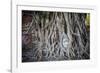 Ayutthaya, Thailand. Sandstone head of Buddha, at Wat Phra Mahathat, Ayutthaya Historical Park, nea-Miva Stock-Framed Photographic Print