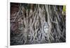 Ayutthaya, Thailand. Sandstone head of Buddha, at Wat Phra Mahathat, Ayutthaya Historical Park, nea-Miva Stock-Framed Photographic Print