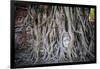 Ayutthaya, Thailand. Sandstone head of Buddha, at Wat Phra Mahathat, Ayutthaya Historical Park, nea-Miva Stock-Framed Photographic Print