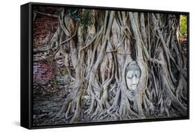 Ayutthaya, Thailand. Sandstone head of Buddha, at Wat Phra Mahathat, Ayutthaya Historical Park, nea-Miva Stock-Framed Stretched Canvas