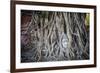 Ayutthaya, Thailand. Sandstone head of Buddha, at Wat Phra Mahathat, Ayutthaya Historical Park, nea-Miva Stock-Framed Photographic Print