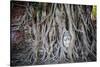 Ayutthaya, Thailand. Sandstone head of Buddha, at Wat Phra Mahathat, Ayutthaya Historical Park, nea-Miva Stock-Stretched Canvas