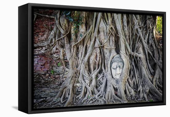 Ayutthaya, Thailand. Sandstone head of Buddha, at Wat Phra Mahathat, Ayutthaya Historical Park, nea-Miva Stock-Framed Stretched Canvas