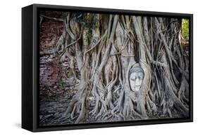 Ayutthaya, Thailand. Sandstone head of Buddha, at Wat Phra Mahathat, Ayutthaya Historical Park, nea-Miva Stock-Framed Stretched Canvas