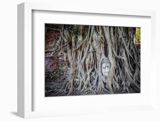 Ayutthaya, Thailand. Sandstone head of Buddha, at Wat Phra Mahathat, Ayutthaya Historical Park, nea-Miva Stock-Framed Photographic Print