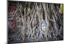 Ayutthaya, Thailand. Sandstone head of Buddha, at Wat Phra Mahathat, Ayutthaya Historical Park, nea-Miva Stock-Mounted Photographic Print