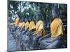 Ayutthaya Wat Yai Chai Mongkol Row of Buddha Statues-Terry Eggers-Mounted Photographic Print