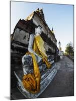 Ayutthaya Wat Yai Chai Mongkol Row of Buddha Statues-Terry Eggers-Mounted Photographic Print