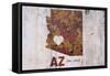 AZ Rusty Cementwall Heart-Red Atlas Designs-Framed Stretched Canvas