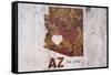 AZ Rusty Cementwall Heart-Red Atlas Designs-Framed Stretched Canvas