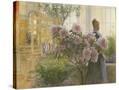 Stretched Canvas