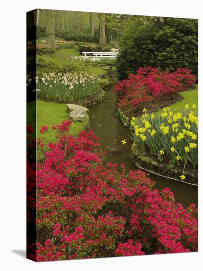 Azalea and daffodil garden, Keukenhof Gardens, Lisse, Netherlands, Holland-Adam Jones-Stretched Canvas