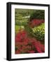 Azalea and daffodil garden, Keukenhof Gardens, Lisse, Netherlands, Holland-Adam Jones-Framed Photographic Print