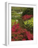 Azalea and daffodil garden, Keukenhof Gardens, Lisse, Netherlands, Holland-Adam Jones-Framed Photographic Print