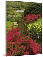 Azalea and daffodil garden, Keukenhof Gardens, Lisse, Netherlands, Holland-Adam Jones-Mounted Photographic Print