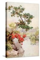 Azalea and Pine-Tree-Ella Du Cane-Stretched Canvas