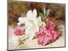 Azalea Bloom, C.1865-74-Helen Cordelia Coleman Angell-Mounted Giclee Print