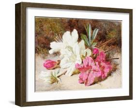 Azalea Bloom, C.1865-74-Helen Cordelia Coleman Angell-Framed Giclee Print