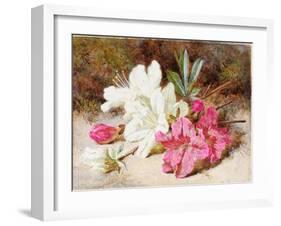 Azalea Bloom, C.1865-74-Helen Cordelia Coleman Angell-Framed Giclee Print