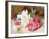 Azalea Bloom, C.1865-74-Helen Cordelia Coleman Angell-Framed Giclee Print